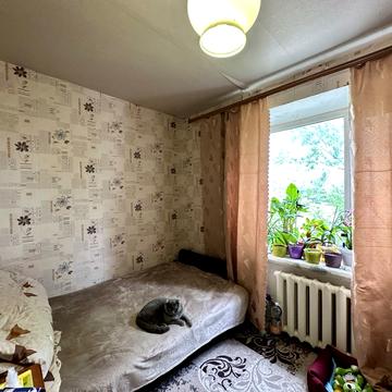 Дмитра Самоквасова вул. (Стаханівців), 19