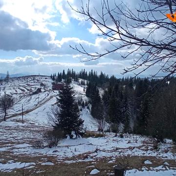 Яблуниця, Надвірнянський, Івано-Франківська область 58500.0 USD