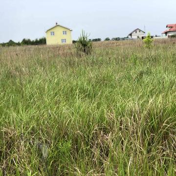 Церква св. Симеона Стовпника, Петропавлівська Борщагівка, Бучанський, Київська область 69000.0 USD