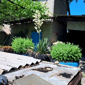 Заводський, Запоріжжя, Запорізька область 5999.0 USD