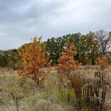 Хотів, Обухівський, Київська область 42000.0 USD