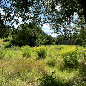 Хотів, Обухівський, Київська область 105000.0 USD