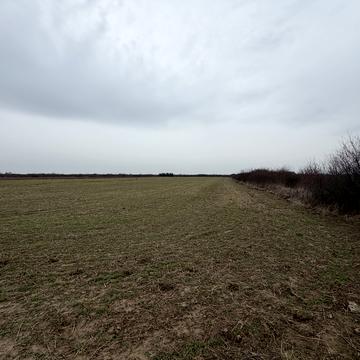 Барвінок, Ужгородський, Закарпатська область 80000.0 USD