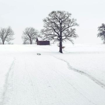 Гадзинка, Житомирський, Житомирська область 8000.0 USD