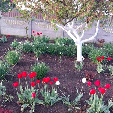 Корсунська, 7