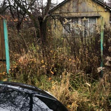 Берестейський просп. (Перемоги)