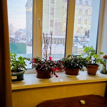 Васильківська вул., 19/1