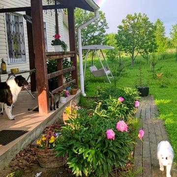 Житомирська вул.