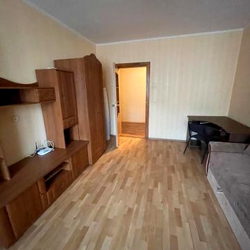 Олени Пчілки вул., 2