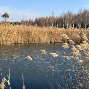 Андріівська, 1