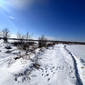 Центральна