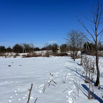 Центральна