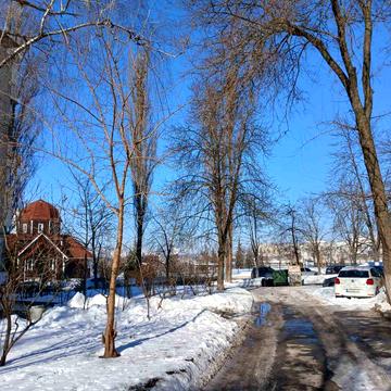 Петра Курінного вул. (Комісара Рикова), 5