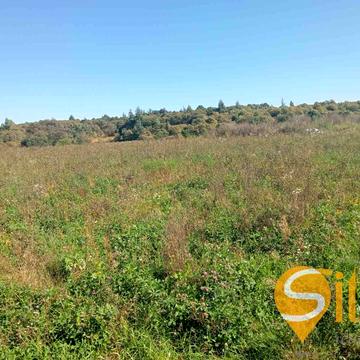 Кульпарківська вул.