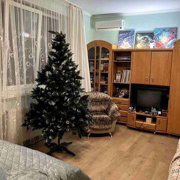 Капушанська вул., 173