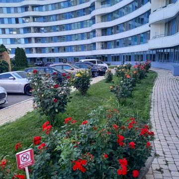 Літературна вул., 1а