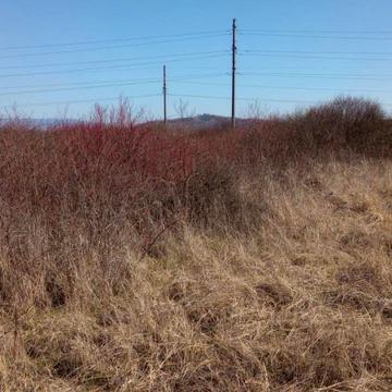 Шенборн, Мукачівський, Закарпатська область 110000.0 USD