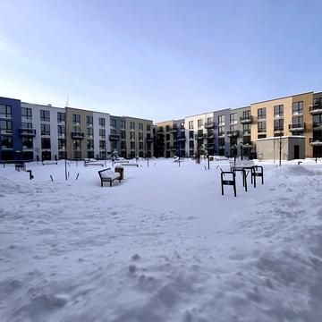 Зелена бічна