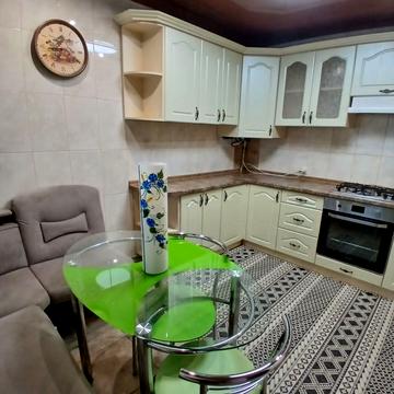 партизанська