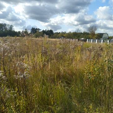 Оброшине, Львівський, Львівська область 22500.0 USD