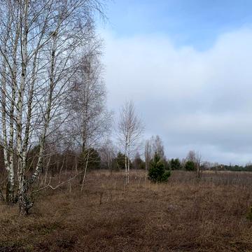 Фасівочка, Бучанський, Київська область 583500.0 USD