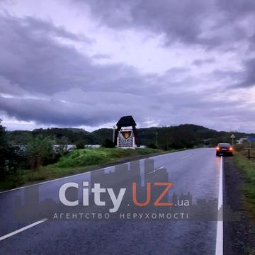 Дубриничі, Ужгородський, Закарпатська область 30000.0 USD