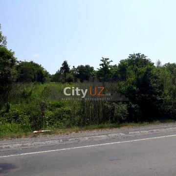 Ужгород, Закарпатська область 250000.0 USD