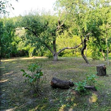 Михайла Грушевського