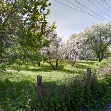 Корчуватський пров.