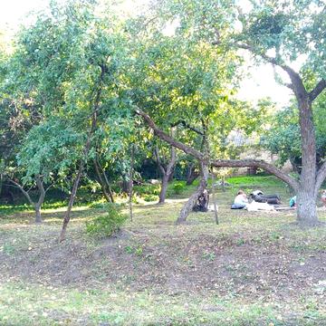 Михайла Грушевського