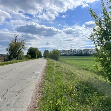 Княжичі, Фастівський, Київська область 38100.0 USD