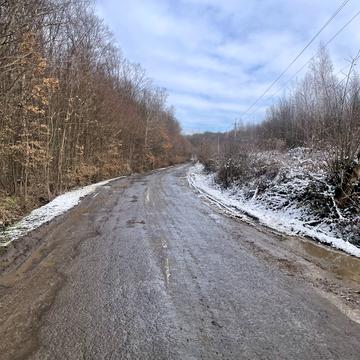 Камяниця, Ужгородський, Закарпатська область 60000.0 USD