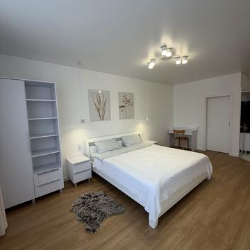 Володимира Янева вул., 27