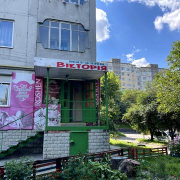 Князя Володимира вул., 36