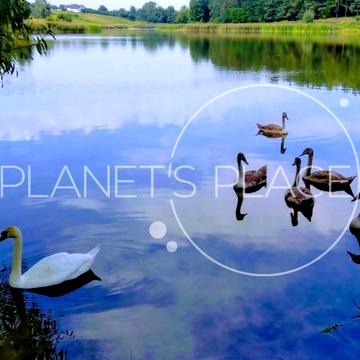 Богушівська, 88 А