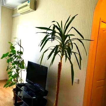 Велика Васильківська вул. (Червоноармійська), 112