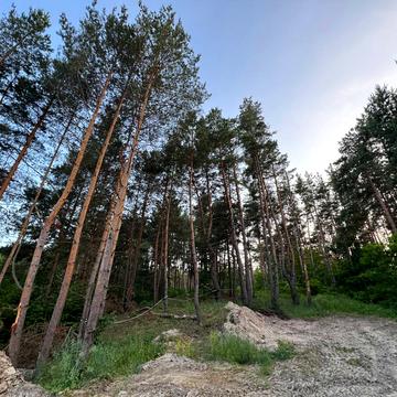 Лісовий пров., 12