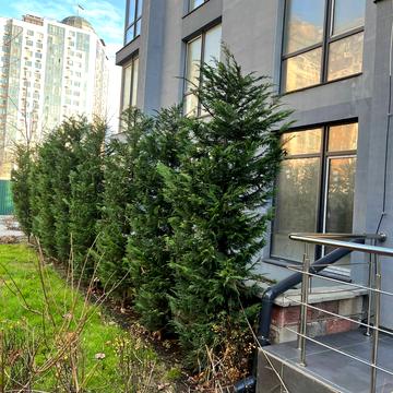 Марсельська вул., (Будинок 8)