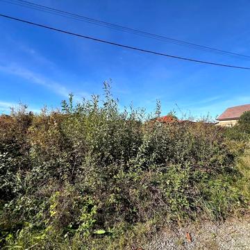 Тернопільська вул.