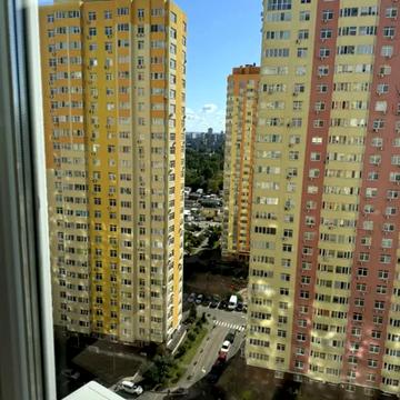 Петра Калнишевського вул. (Михайла Майорова), 6