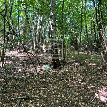 Стоянка, Бучанський, Київська область 52000.0 USD