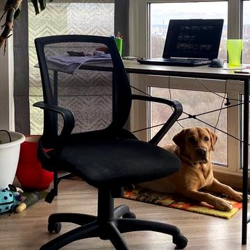 Герцена вул., 35