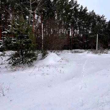 Михайлівка-Рубежівка, Бучанський, Київська область 19000.0 USD