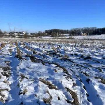 Михайлівка-Рубежівка, Бучанський, Київська область 14000.0 USD