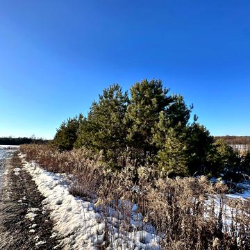 Жорниська, Яворівський, Львівська область 15000.0 USD