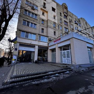 Межигірська вул., 57/17