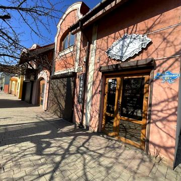 Марії Заньковецької вул., 68