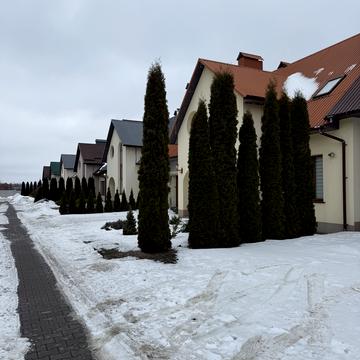 Лесі Українки вул., 68