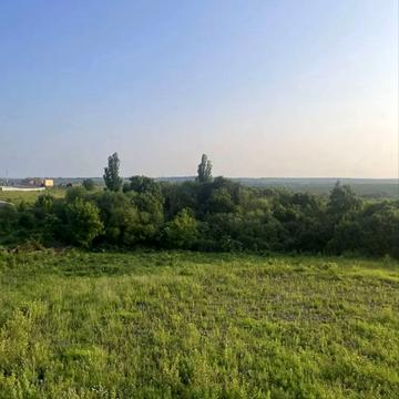 Королівська