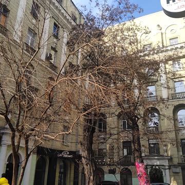 Сумська вул., 17